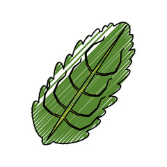 Naklejka premium Leaf eco symbol icon vector illustration graphic design