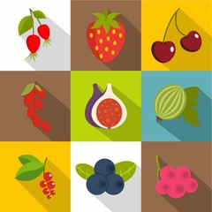 Edible fruit icons set, flat style