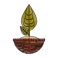 Obraz premium Plant in pot icon vector illustration graphic design
