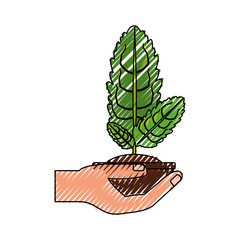 Plant in pot icon vector illustration graphic design