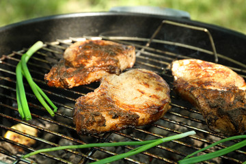 Tasty steaks on barbecue grill