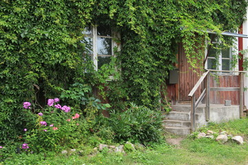 Rustic cottage