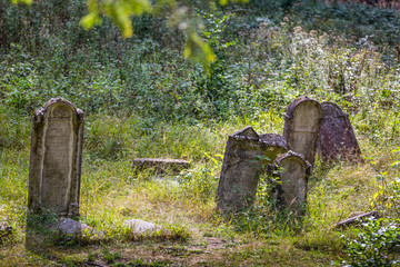 Old abandoned Jewish cemetery