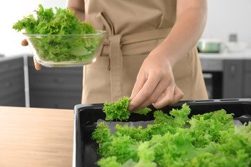 Woman preparing lettuce chips at table in kitchen