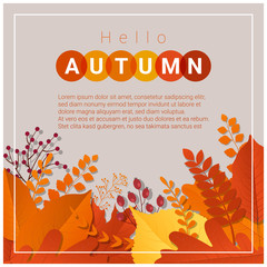 Hello autumn with colorful leaves and fruits background , vector , illustration