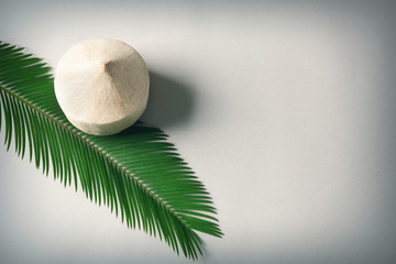 Fresh coconut and palm leaf on white background