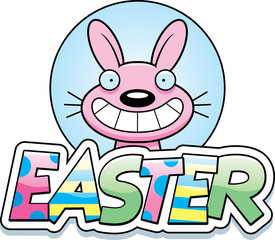 Cartoon Easter Bunny Graphic