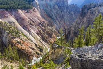 Artist Point View of Yellowstone