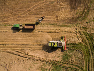 Aerial view of modern combine harvester at the harvesting the wheat on the golden wheat field in...