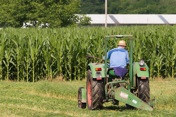 Obraz premium Farmer on tractor cutting the grass for hay.