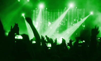  Jubelnde Menge bei einem Konzert