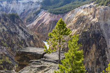 South Rim Trail View