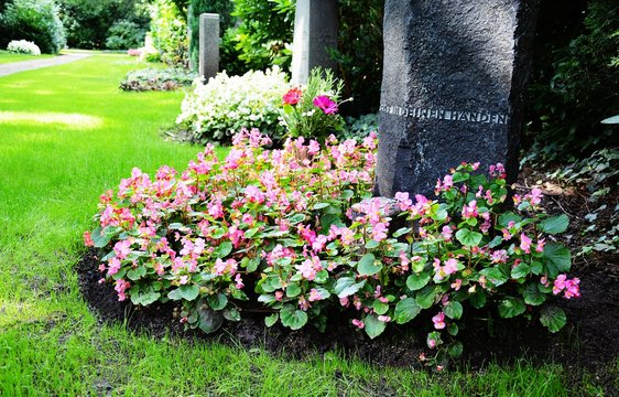Grabstein und Grabbepflanzung (Begonien) im Sommer