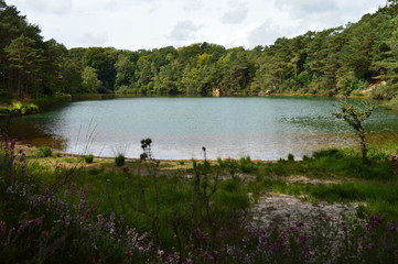 Wareham Blue Pool