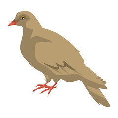 dove of peace nature animal concept icon vector illustration