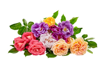 red rose isolated on white background