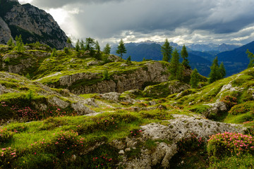 Fototapeta na wymiar Unterwegs auf dem Dolomiten Höhenweg 1, Alta Via 1, Italien