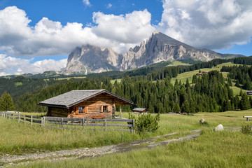Fototapeta na wymiar Holzhütte auf der Seiser Alm / Dolomiten