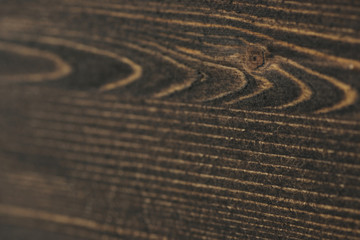 Fototapeta na wymiar Burnt-out wood surface treated with impregnation