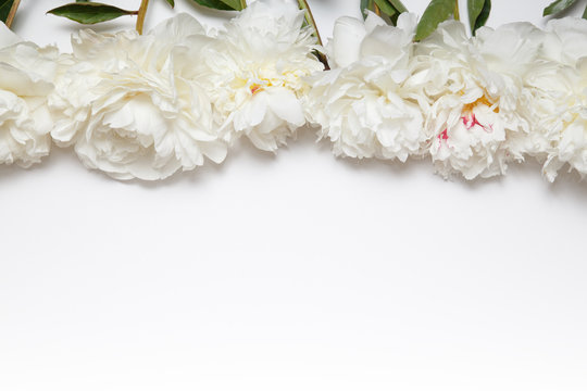 Flower border of white peonies.