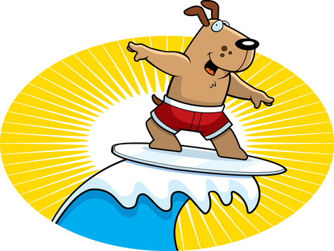 Dog Surfing