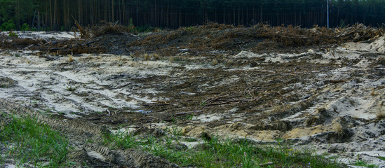 The field is prepared for illegal amber mining in Zhytomyr region, August 2017.