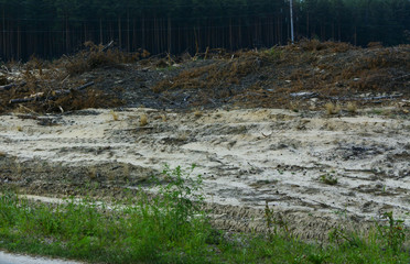 The field is prepared for illegal amber mining in Zhytomyr region, August 2017.