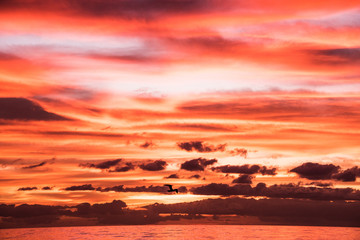 Fototapeta premium Sunset Over Beach