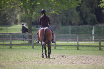 A girl in a jockey uniform riding a horse