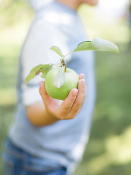 Apple
