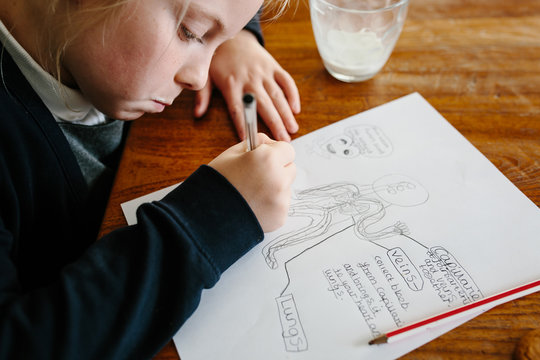 A Primary School Child Doing Her Science Homework.