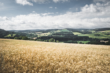 Bohmerwald Landscape