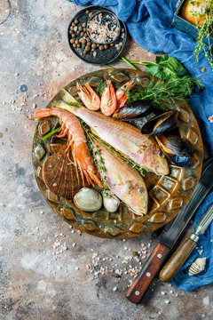Image of fish, shrimp, clams