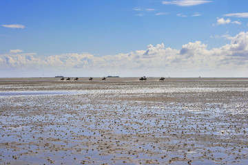 Naklejka premium People riding horses at low tide in wadden sea around the German North Frisian island of “Föhr”