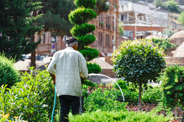 Senior man watering flowers in the garden