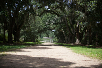 Oak Alley