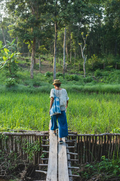 Walking in the forest