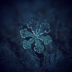 Real snowflake macro photo: large snow crystal of split plate type with fine symmetry, simple shape...