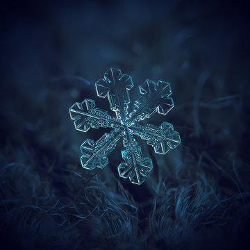 Real snowflake macro photo: large snow crystal of split plate type with fine symmetry, simple shape and internal pattern. Snowflake glowing on dark blue textured background in natural light.