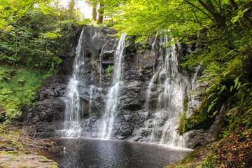 Waterfall in the forest, Northern Ireland