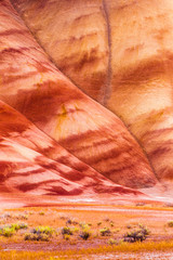 Fototapeta na wymiar Detail image of the Painted Hills in Oregon, USA