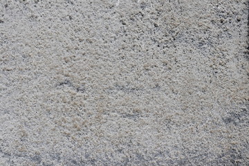 wall