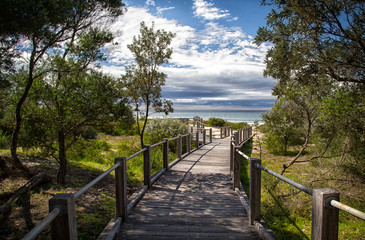 Fototapeta na wymiar A wooden boardwalk leading to 7 Mile Beach near Gerroa in Australia