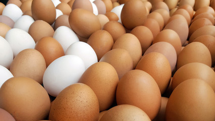 Fresh eggs for sale at a market