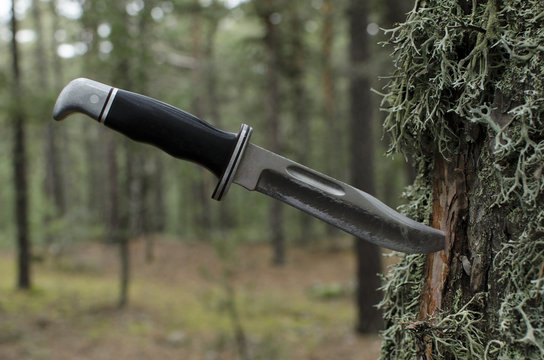commando knife stuck in a tree