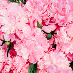 Close-up of pink peony flowers. Valentine's day or Mother's day background. Flat lay, top view...