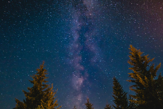 Milky way galaxy behind the pine trees warmed up by bonfire light in Durmitor National Park
