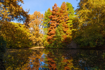 Autumn colors on the lake. Autumnal Park. Autumn Trees