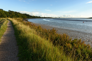 Fototapeta premium Footpath along the river