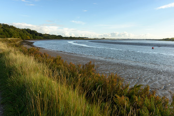 Fototapeta na wymiar River side at low tide